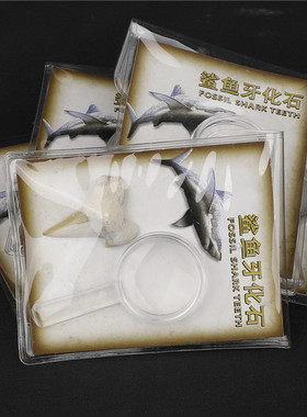 PVC袋装鲨鱼牙标本盒装