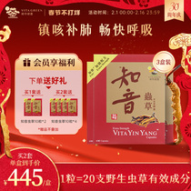 Vetken psychic Cognitive Caterpillar Fungus Lung Clear Capsule Nourishment Winter Caterpillar to regulate Immunosupplements Official 3 boxes