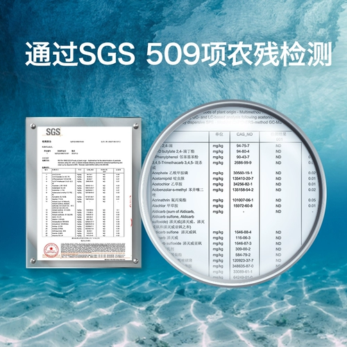 Heyan Baby Seaweed Crisps Bab