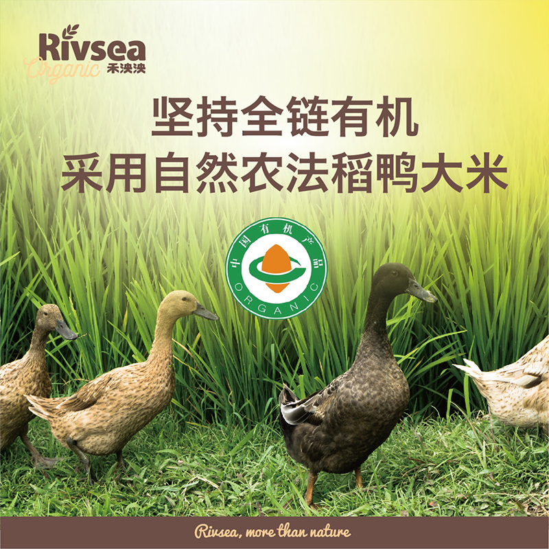 rivsea禾泱泱旗舰店禾泱泱原装进口有机星星泡芙条 宝宝零食无盐婴幼儿辅食36g*3组合2