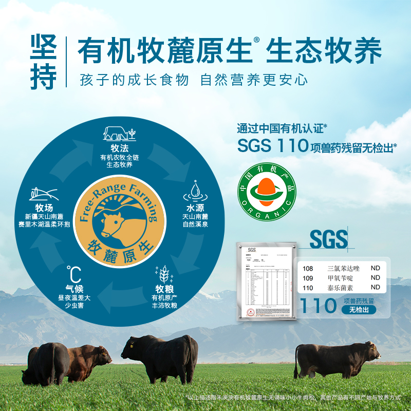拍2件！禾泱泱宝宝拌饭猪肉酥肉松辅食罐装