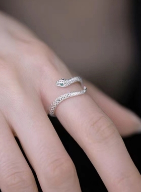 小灵蛇戒指女指环2023年新款