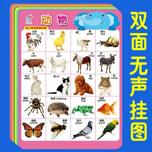 幼儿学前教育挂图 0-3-6岁儿童早教大挂画书籍宝宝认知动物蔬菜交通工具数字拼音识字启蒙卡片唐诗儿歌三字经挂图1岁2岁图书撕不破 - 图0