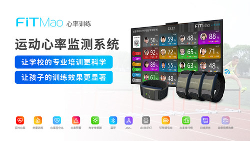 FITMAO飞猫校园心率带智能手环学生团体训练系统手臂环团课实时监 - 图1