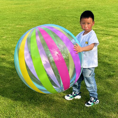 幼儿加厚充气沙滩球 游泳弹力手拍球彩色海洋球儿童表演早教PVC球 - 图1
