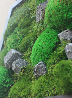 进口永生苔藓装饰挂画苔藓挂画墙面绿植背景民宿酒店门店软装饰品