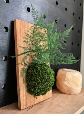 永生苔藓蕨类苔玉球壁挂装饰