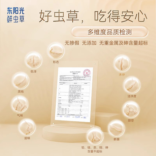 东阳光鲜虫草官方旗舰店正品冬虫夏草高档礼盒冻干鲜虫草50g