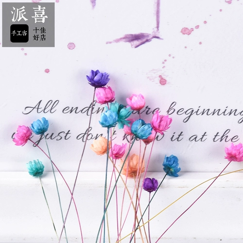 派喜 Бразильские маленькие звездные цветы Кристаллическая капля режима DIY сушено