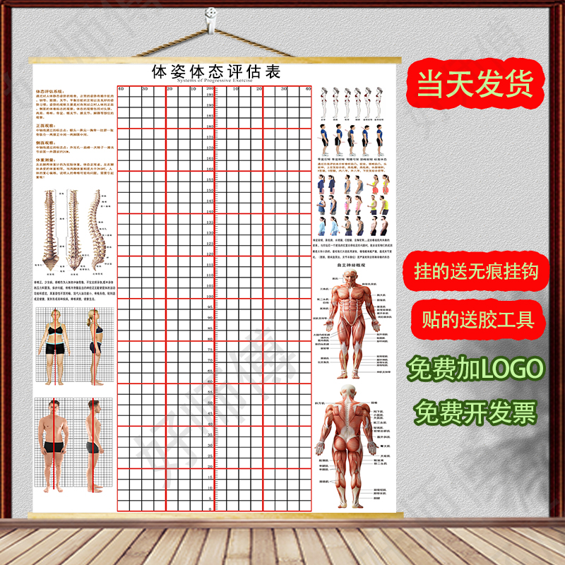 体态评估图健身房体测表瑜伽私教站姿形体脊椎修复身体装饰 - 图1