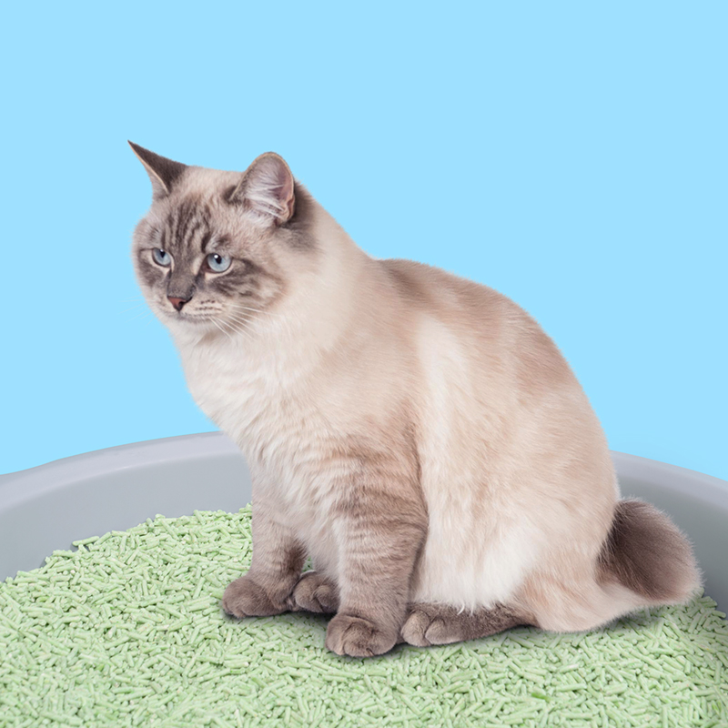 猫森林绿茶除臭豆腐猫砂低尘猫咪用品可混合膨润土猫砂10公斤包邮