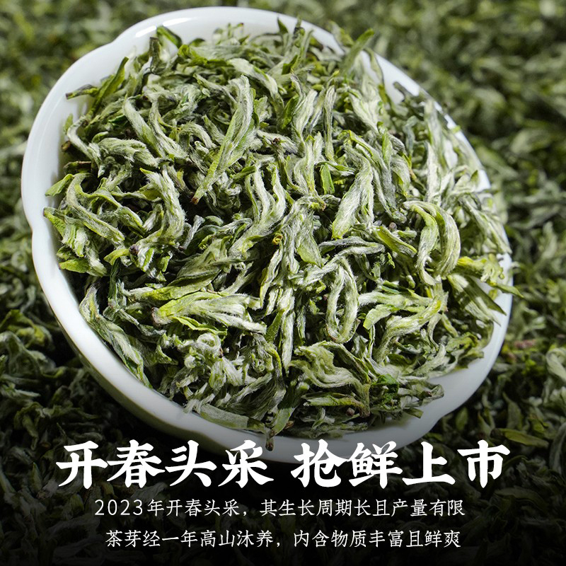 贵州都匀毛尖2023新茶特级绿茶明前春茶浓香型炒青茶叶礼盒装250g