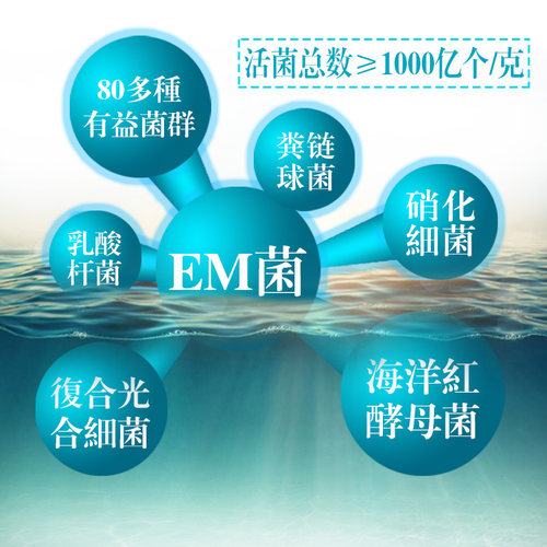 EM菌浓缩粉枯草芽孢杆菌水产养殖鱼虾改底调水肥水乳酸菌益生菌种 - 图1