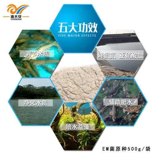 EM菌浓缩粉枯草芽孢杆菌水产养殖鱼虾改底调水肥水乳酸菌益生菌种 - 图0