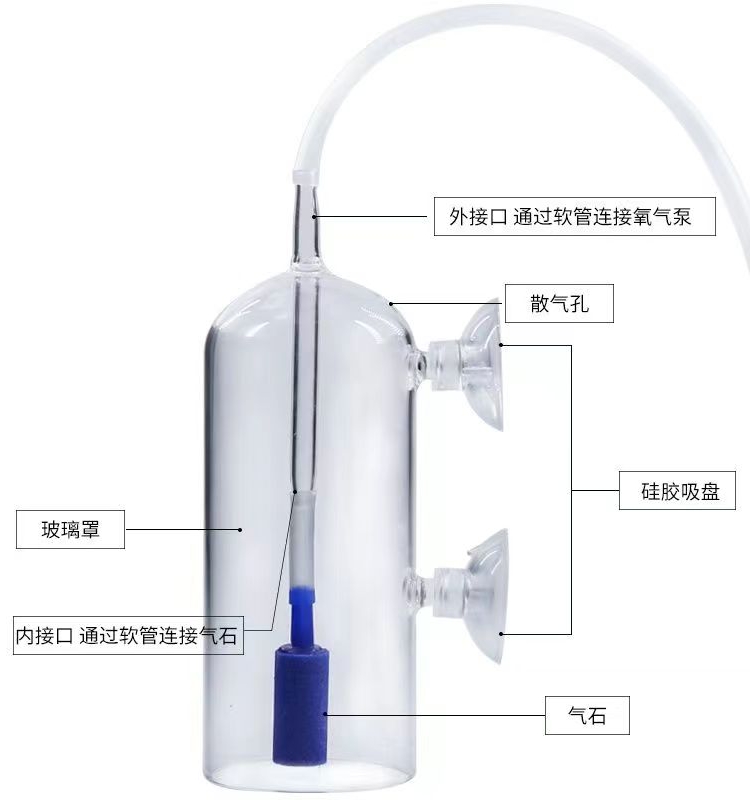 杯鱼缸石容飞虾氧缸氧器增水晶氧沫氧气防水溶玻璃水草缸溅水族箱 - 图1