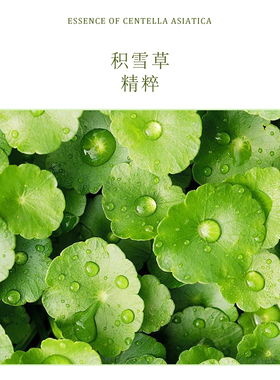 积雪草修护试管面膜舒缓