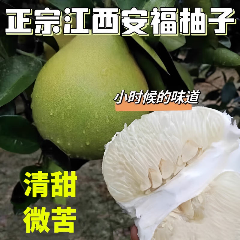 【顺丰可选】安福蚕子新鲜水果江西特产吉安金兰柚井冈蜜柚土柚子,淘宝优惠券,粉丝福利购,淘宝优惠卷