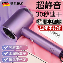 (Little Yangge Recommended) Electric hair dryer Home High power hair salon hair salon Hair Salon Hair negative Hair Dryer SILENT WIND-DRYER