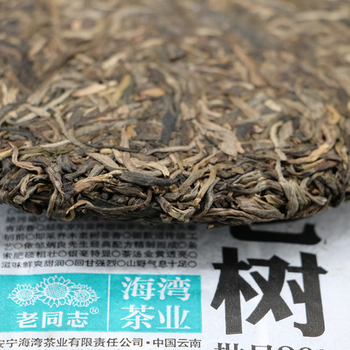 老同志生茶普洱茶勐海深山老树2020年500g云南七子饼茶邹炳良经典 - 图0