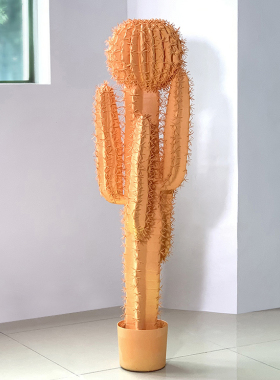 北欧橘色仙人柱大型网红植物室内