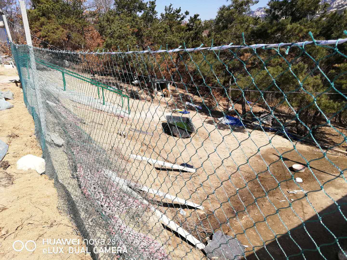 家禽养鸡网拦鸡网围鸡网养殖网菜园网防鸡网围栏网,淘宝优惠券,粉丝福利购,淘宝优惠卷