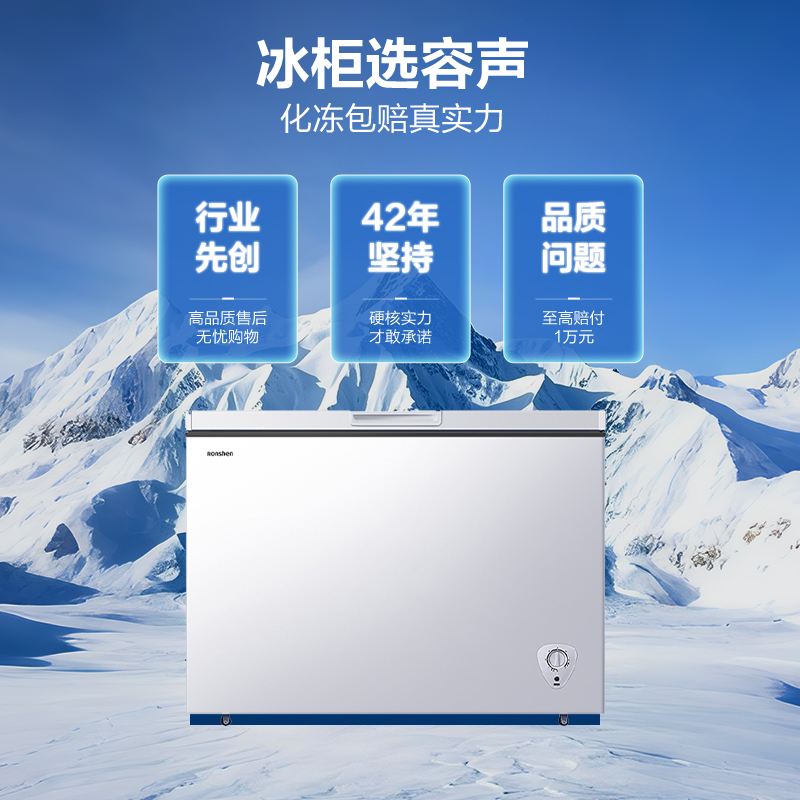 容声300L大容量家用商用冷藏全冷冻减霜保鲜冷冻两用省电抗菌冷柜