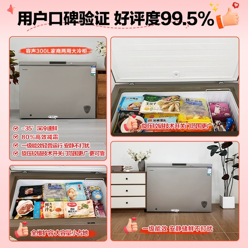 Rongsheng 300L Большой способность к морозильному морозильному морозисту Домохозяйство Коммерческое охлаждение. Энергетический холодильник с энергосберегающим холодильником первого уровня