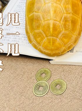 天然爻挂真龟甲摇卦真乌龟壳镇宅招财天然摆件完整龟甲龟壳手把件