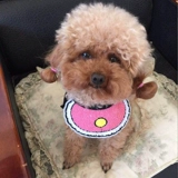 Брендовый слюнявчик, шарф, чокер, нагрудник, популярно в интернете