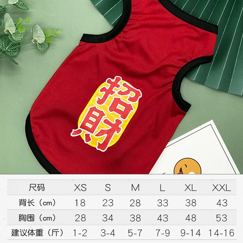 Одежда для щенков лето тонкая плюшевая кошка щетки щенки