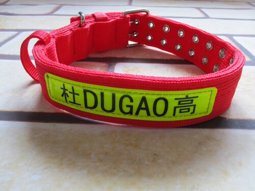 杜高犬项圈中大型犬宠物狗狗脖套脖圈颈圈训练可以调节大小建 - 图3