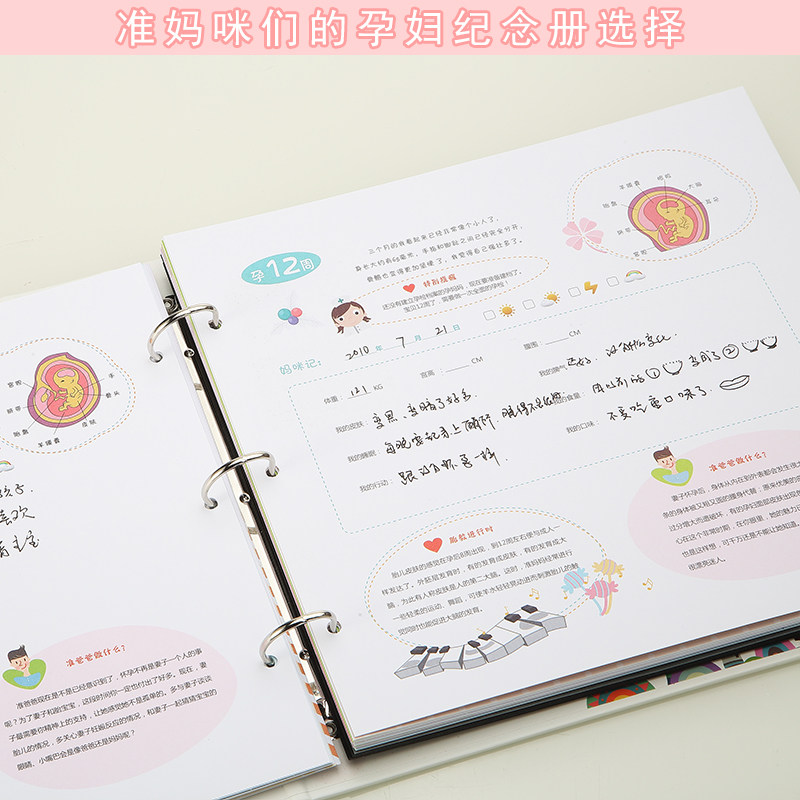pregnancy diary book