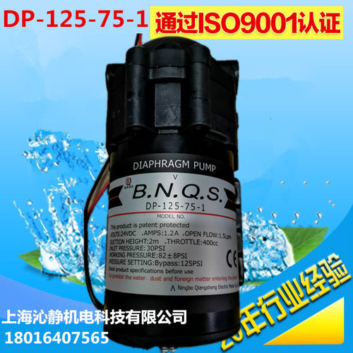 强生水泵增压泵DP-125-50A/50J/75-1/300W-3/200W/400W净水机水泵 - 图0