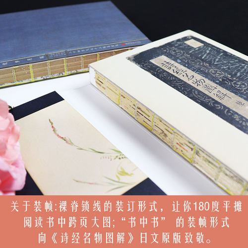 【精装彩绘】花开未觉岁月深 美了千年却被淡忘 二十四节气七十二候花信风绘本诗经名物图解古风手绘礼品中国画报出版社官方正版 - 图2