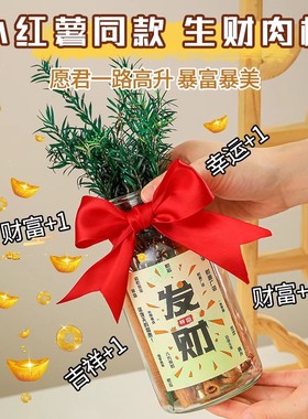 隆泉宝肉桂生财玻璃瓶摆件