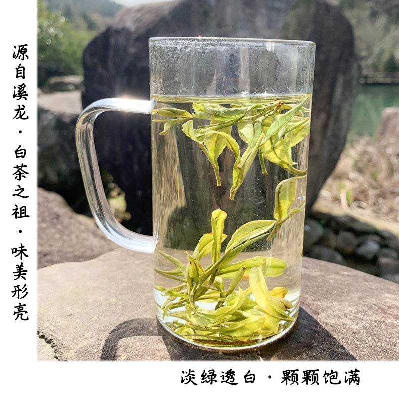 2024年白茶安吉春茶新茶叶明前一级正宗高山特绿茶200g罐装礼盒 - 图1