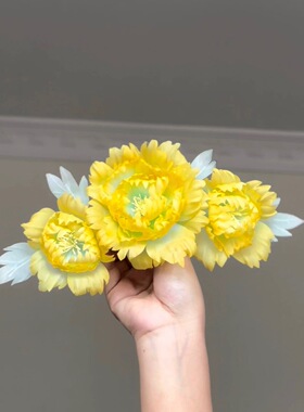 原创 惜花芷 真丝烫花发冠神仙花冠发饰汉服配饰古风头饰仙气发饰