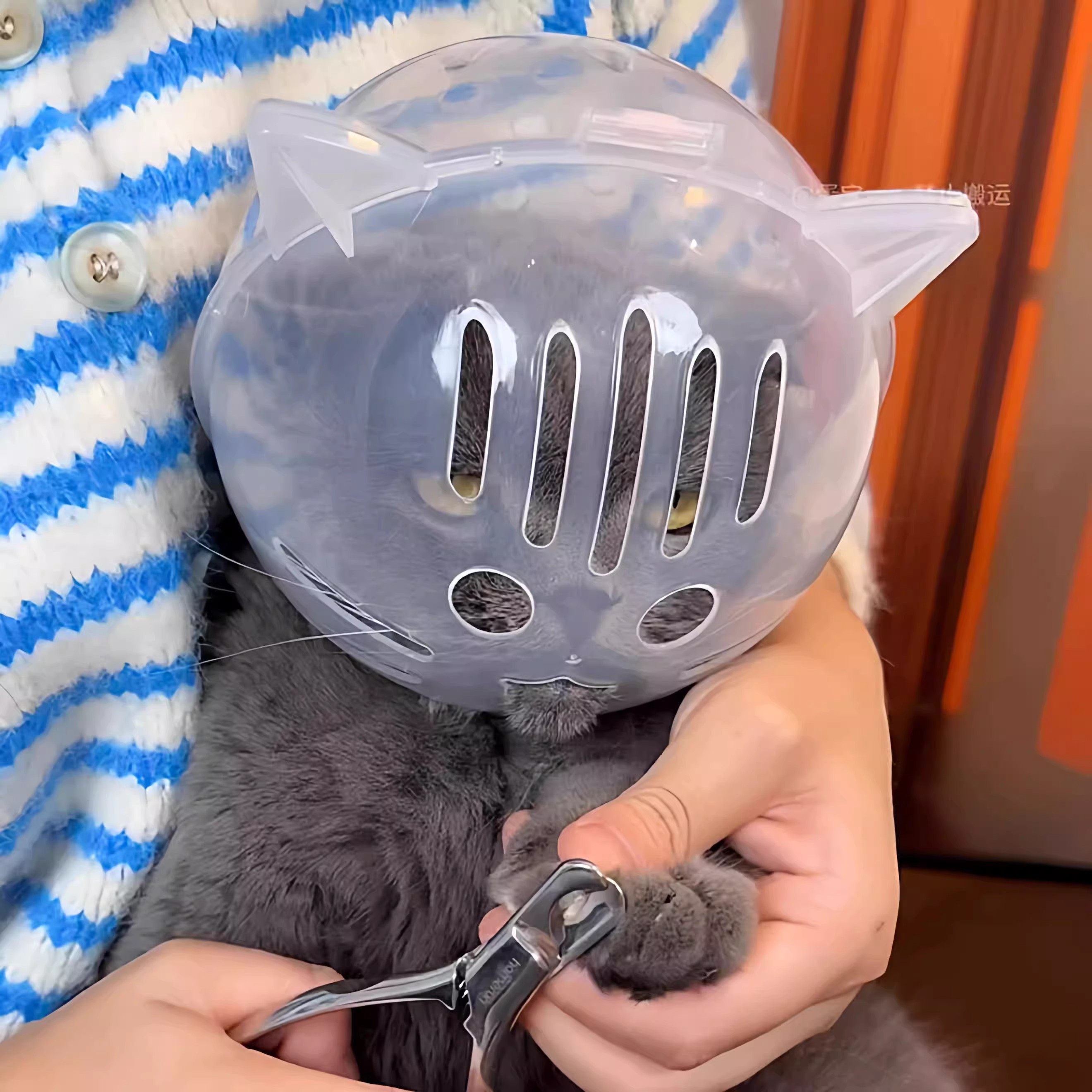 猫咪防舔咬伊丽莎白圈宠物透明透气防护圈太空头罩绝育剪指甲上药,淘宝优惠券,粉丝福利购,淘宝优惠卷