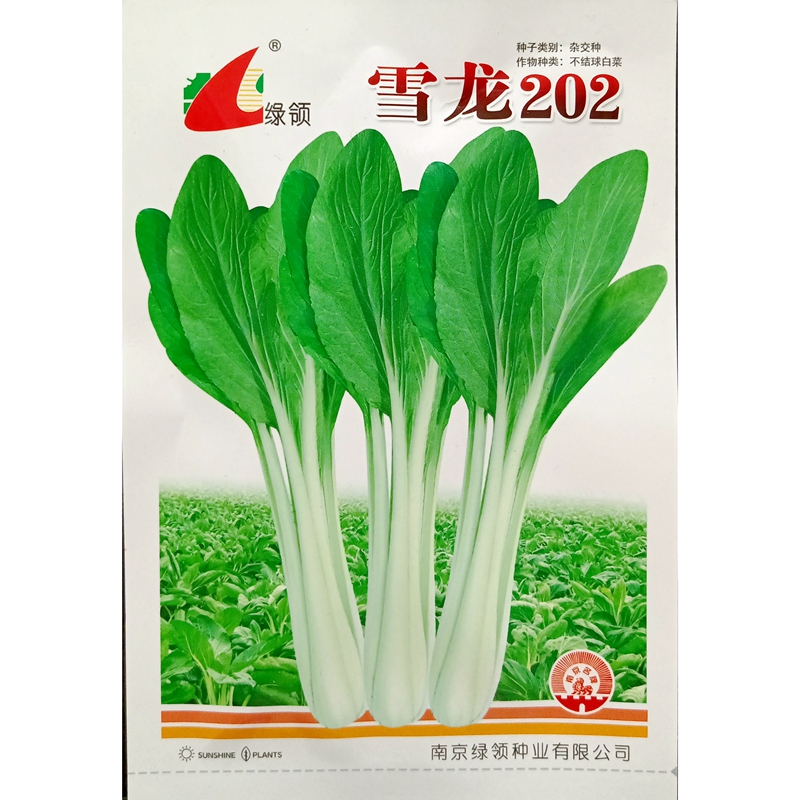 箭杆白青菜种子高大杆高脚高梗帮白菜腌制大棵青菜种籽20克4000粒 - 图2