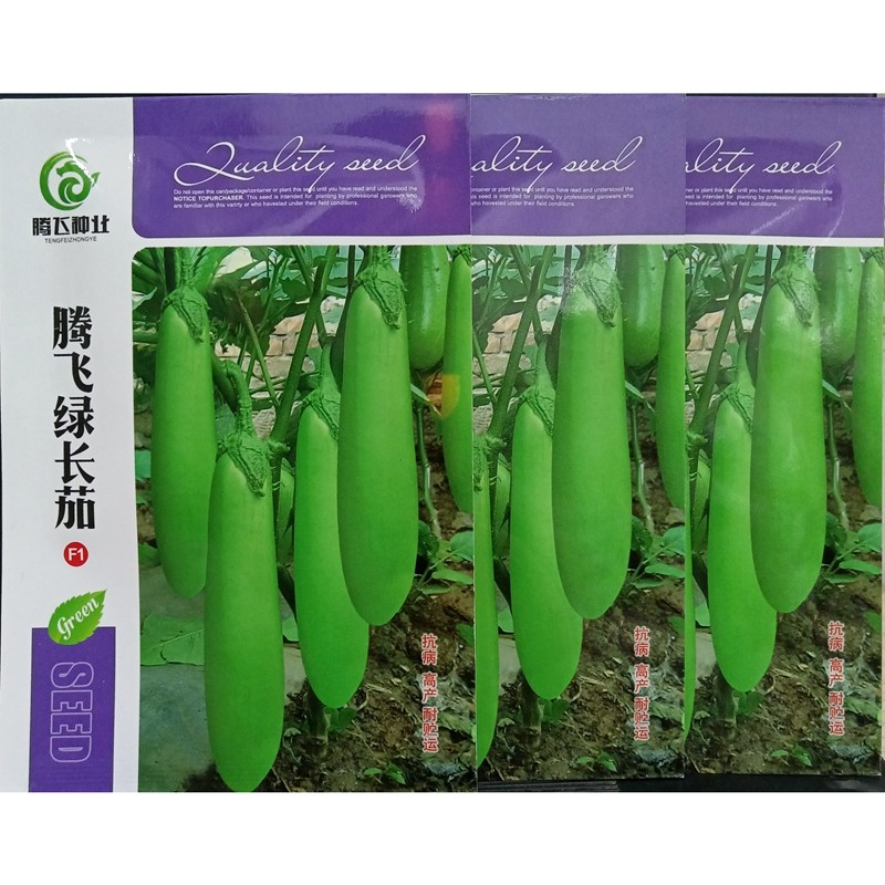 中农丰农腾飞绿长茄种子优质杂交28-35厘米青皮绿皮长茄子籽10克,淘宝优惠券,粉丝福利购,淘宝优惠卷