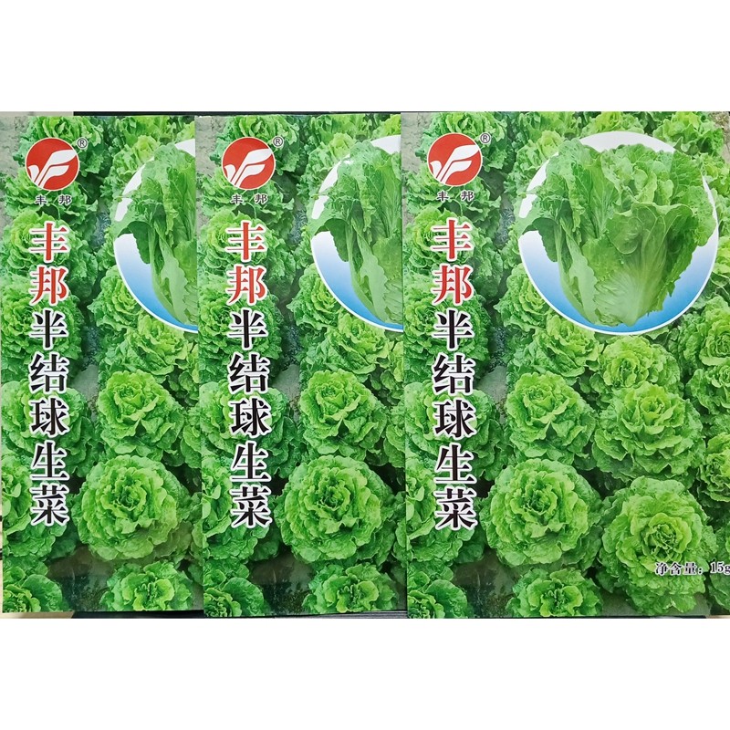 丰邦半结球生菜种子耐抽苔大棵高产春夏秋四季播种籽15克/袋万粒,淘宝优惠券,粉丝福利购,淘宝优惠卷
