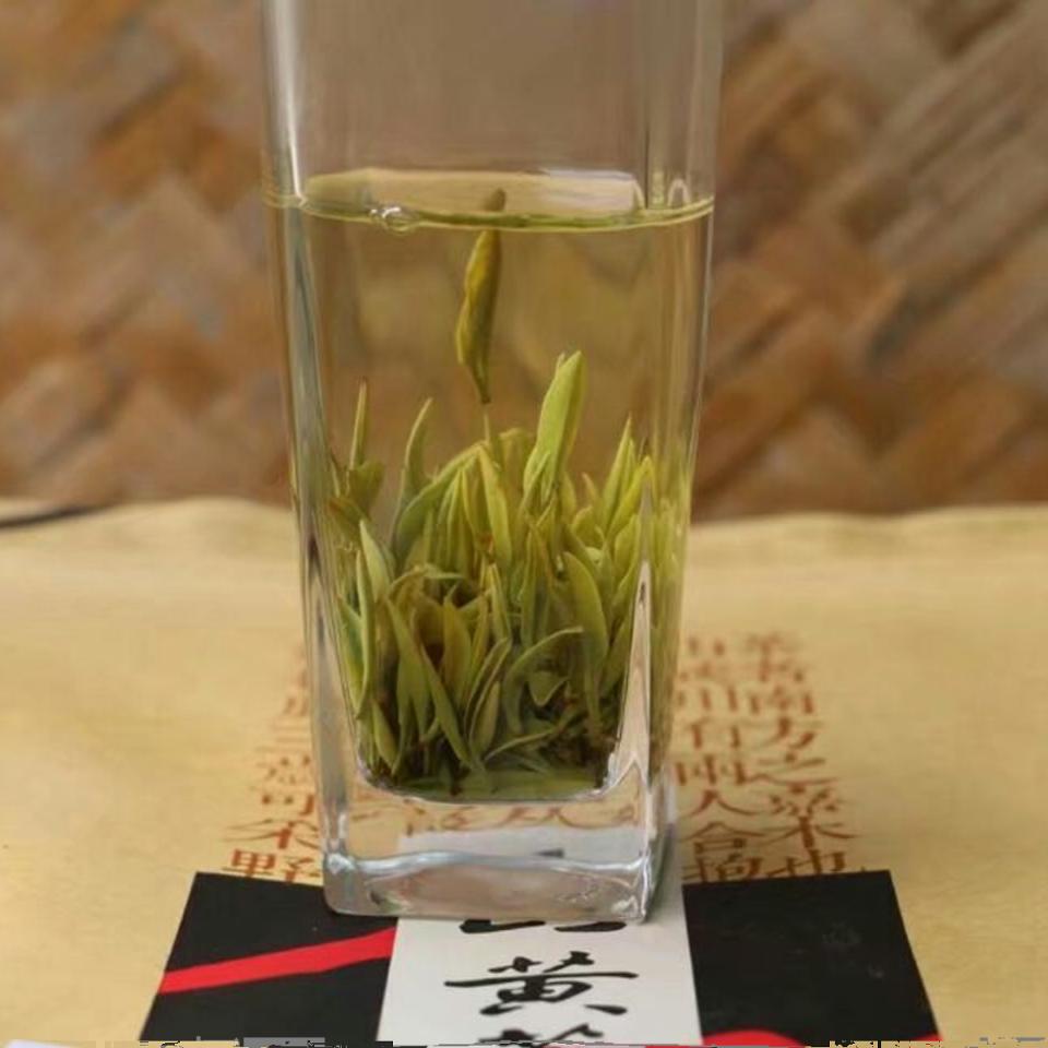 黄茶乌米尖正宗霍山黄芽2024新茶明前黄芽500g罐装茶农直销茶叶-图3