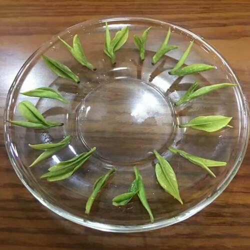 乌米尖正宗霍山黄芽2026新茶雨前500g散装黄茶高山茶农直销店包邮 - 图3