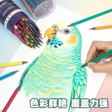 Стираемая художественная масляная краска для карандашей для школьников для рисования, детская кисть для детского сада, комплект, 48 цветов, 24 цветов