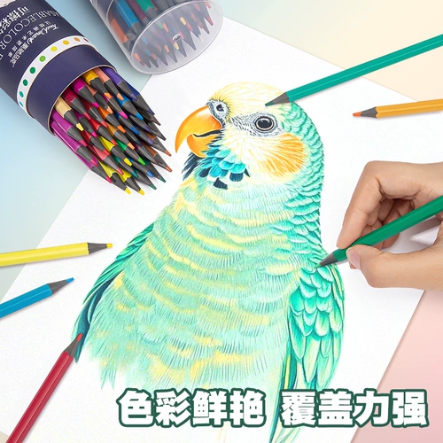 Стираемая художественная масляная краска для карандашей для школьников для рисования, детская кисть для детского сада, комплект, 48 цветов, 24 цветов