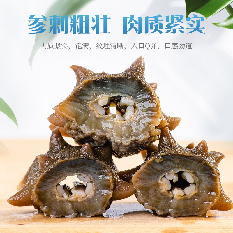 养庆堂旗舰店大连海参淡干海参干货500g鲜活海生非即食海渗礼盒单个刺参海渗2