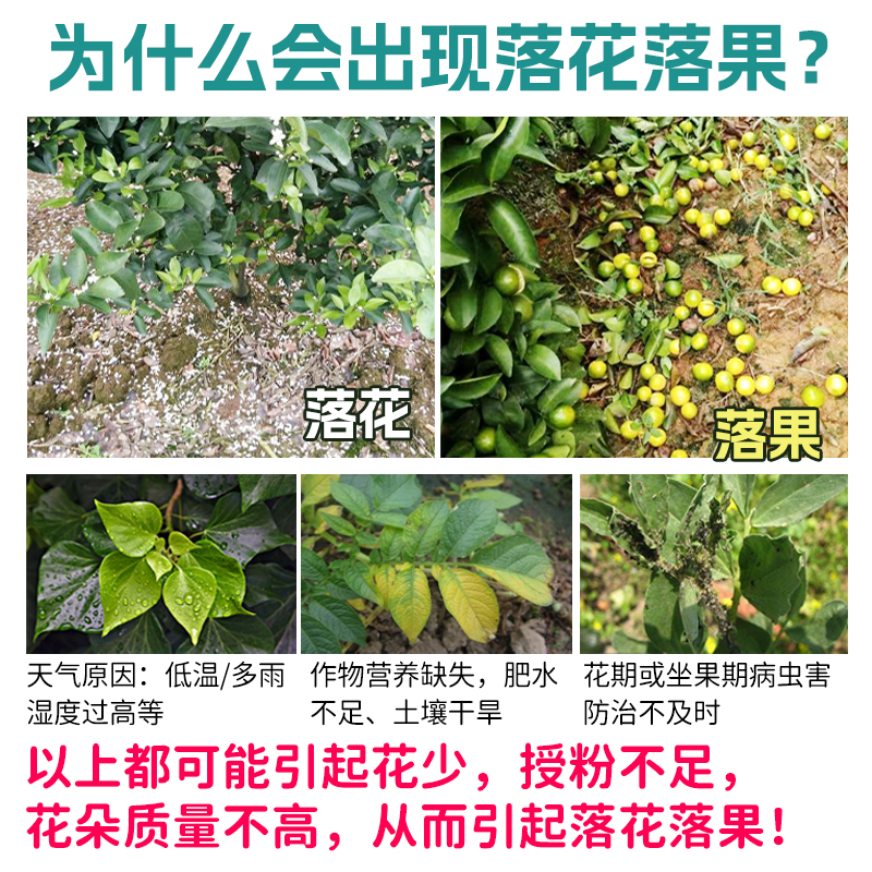 花果帮手防落素叶面肥促花授粉坐果剂瓜果树柑橘植保番茄芒果正品 - 图2