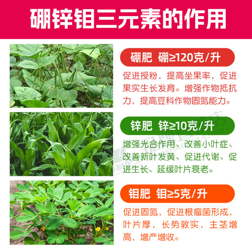 硼锌钼叶面肥糖醇硼中钼肥锌肥水溶肥料粒粒饱固氮大豆科豆角花生 - 图1