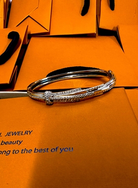 s925银银钉子手镯女纯银新款年轻款镯子实心生日礼物送闺蜜