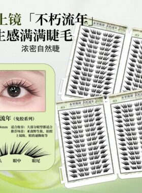 小薄片系列不朽流年假睫毛